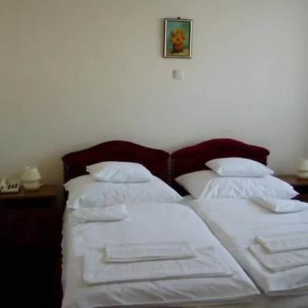 Отель Kincsem Wellness