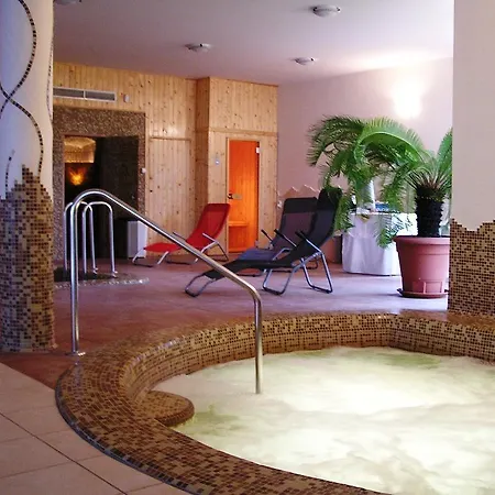 Отель Kincsem Wellness 3*